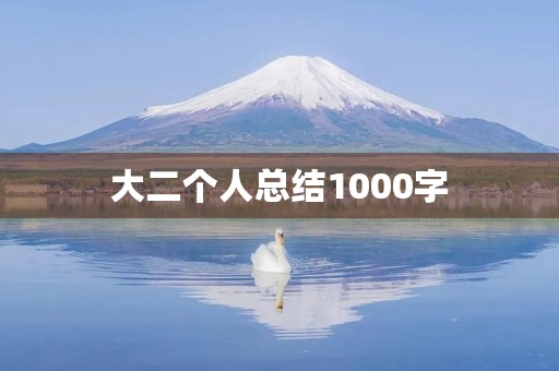 大二个人总结1000字