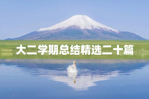 大二学期总结精选二十篇
