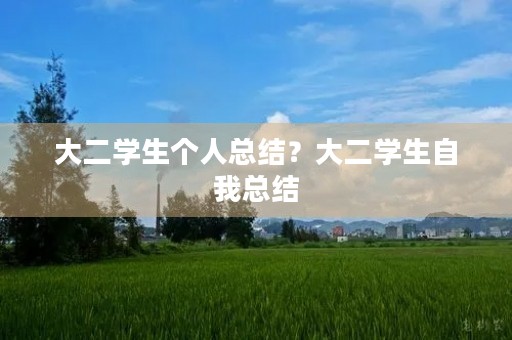大二学生个人总结？大二学生自我总结