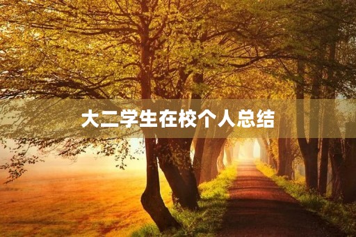 大二学生在校个人总结