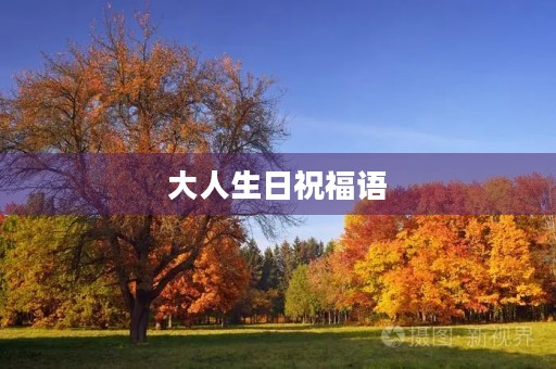 大人生日祝福语(写生日祝福的优美句子)