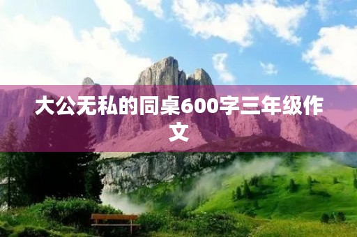 大公无私的同桌600字三年级作文