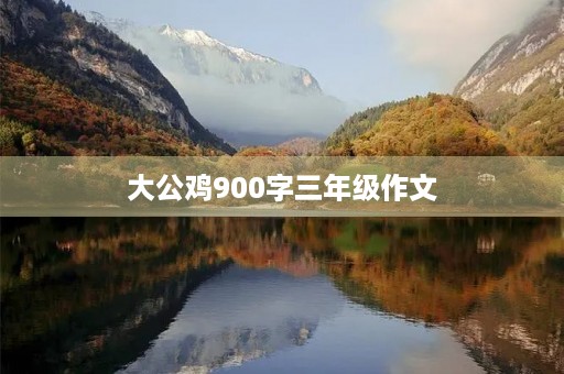 大公鸡900字三年级作文
