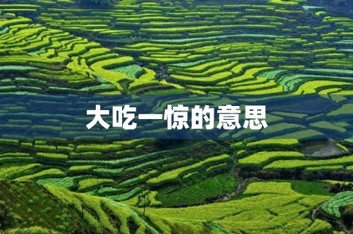 大吃一惊的意思(大吃一惊)