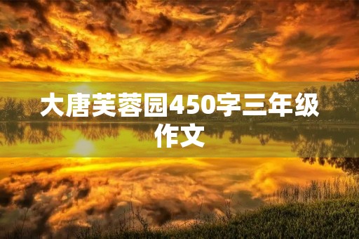 大唐芙蓉园450字三年级作文