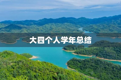 大四个人学年总结