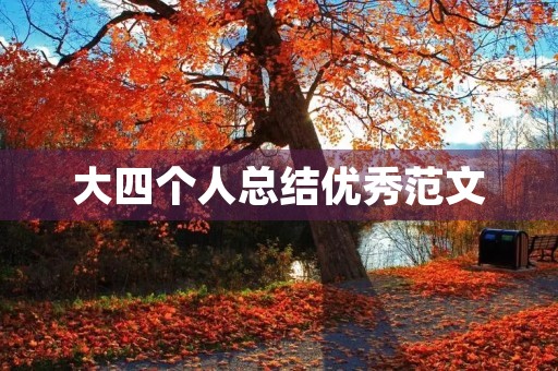 大四个人总结优秀范文