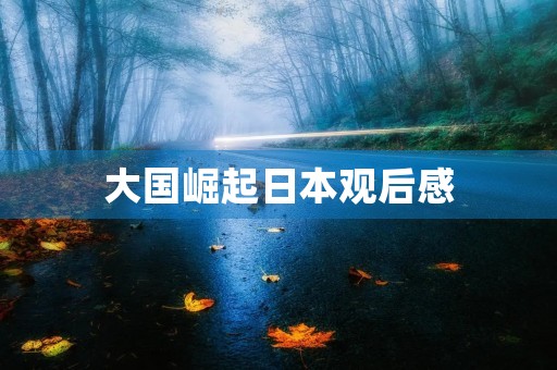 大国崛起日本观后感
