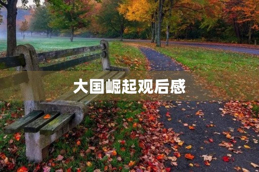 大国崛起观后感