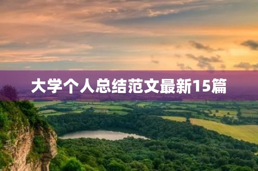 大学个人总结范文最新15篇