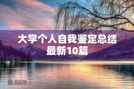 大学个人自我鉴定总结最新10篇
