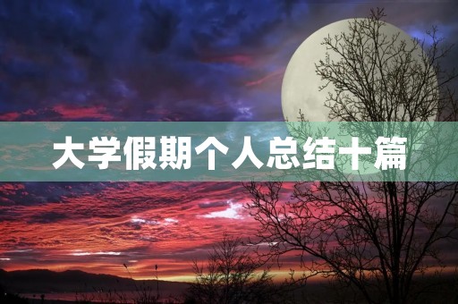 大学假期个人总结十篇