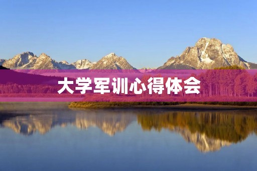 大学军训心得体会