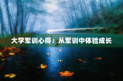 大学军训心得：从军训中体验成长