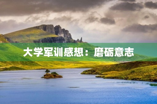 大学军训感想：磨砺意志，锤炼品质