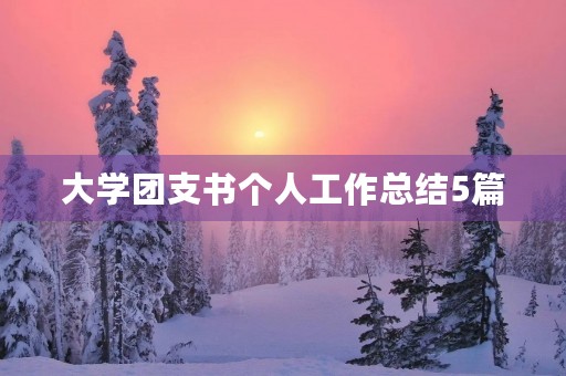 大学团支书个人工作总结5篇