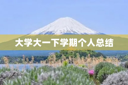 大学大一下学期个人总结
