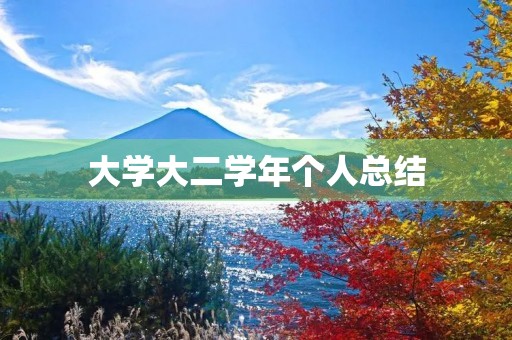 大学大二学年个人总结