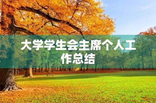 大学学生会主席个人工作总结