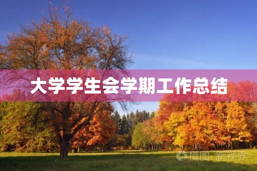 大学学生会学期工作总结