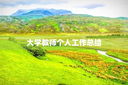 大学教师个人工作总结