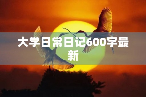 大学日常日记600字最新
