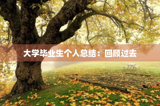大学毕业生个人总结：回顾过去，展望未来