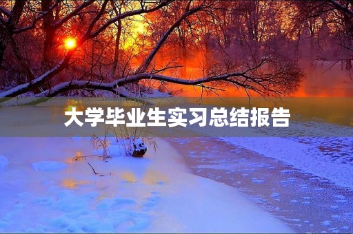 大学毕业生实习总结报告 大学毕业生实习总结报告