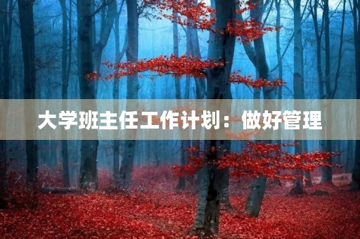 大学班主任工作计划：做好管理，创造温馨校园