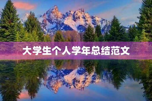 大学生个人学年总结范文