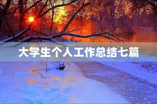 大学生个人工作总结七篇