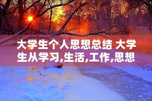 大学生个人思想总结 大学生从学习,生活,工作,思想方面的个人总结怎么写
