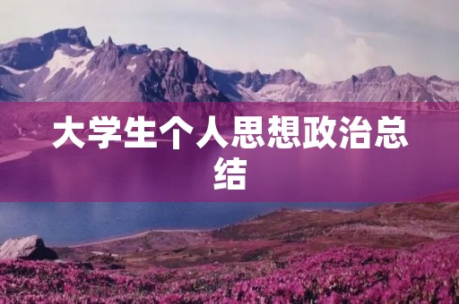 大学生个人思想政治总结