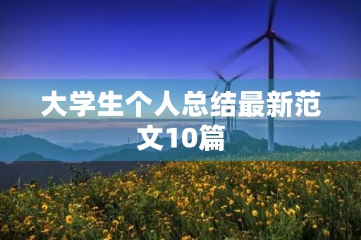 大学生个人总结最新范文10篇