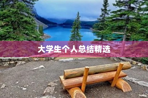 大学生个人总结精选