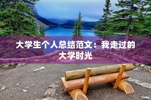 大学生个人总结范文：我走过的大学时光