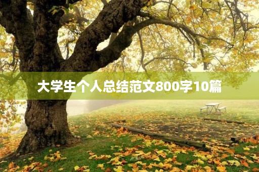 大学生个人总结范文800字10篇