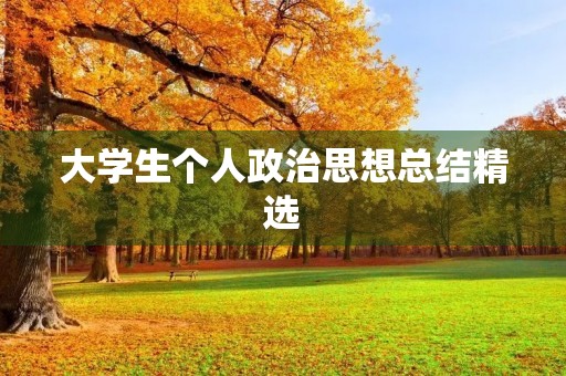 大学生个人政治思想总结精选