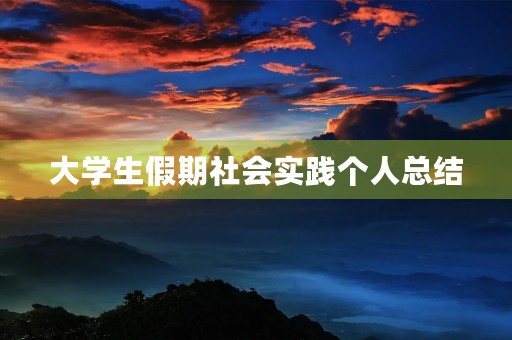 大学生假期社会实践个人总结