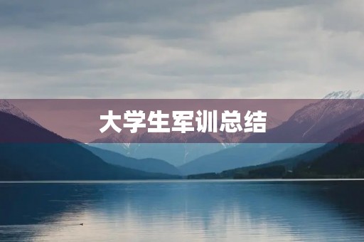 大学生军训总结 大学生军训总结