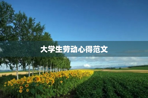 大学生劳动心得范文