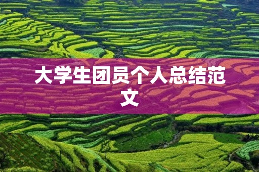 大学生团员个人总结范文