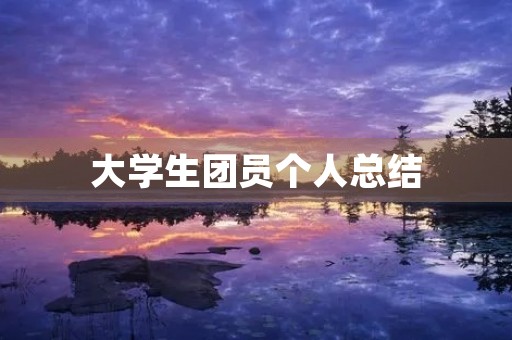 大学生团员个人总结