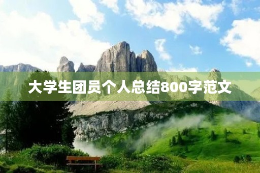 大学生团员个人总结800字范文