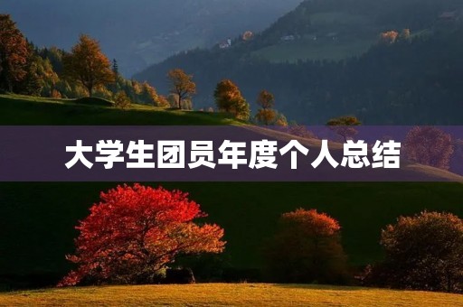 大学生团员年度个人总结