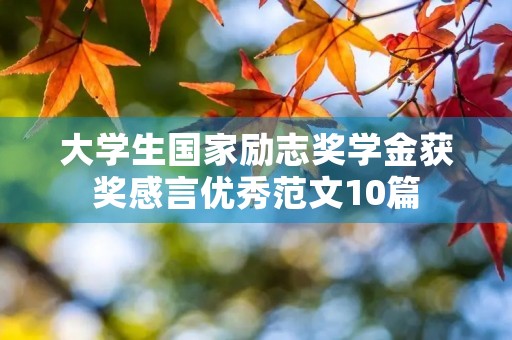 大学生国家励志奖学金获奖感言优秀范文10篇 大学生国家励志奖学金获奖感言优秀范文10篇