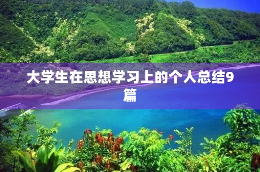 大学生在思想学习上的个人总结9篇