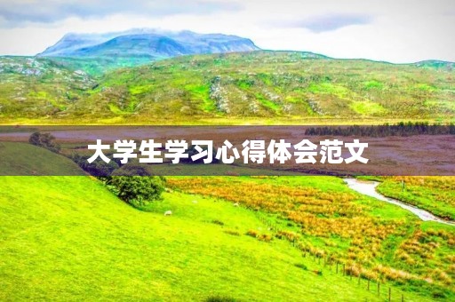 大学生学习心得体会范文