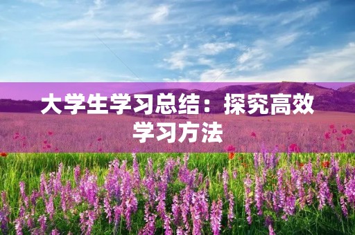 大学生学习总结:探究高效学习方法