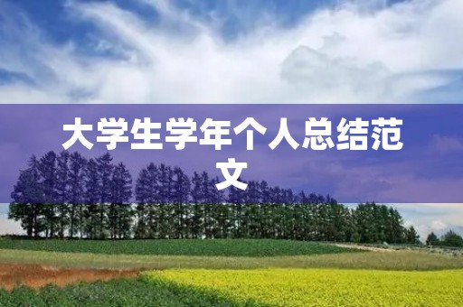 大学生学年个人总结范文 大学生学年个人总结范文